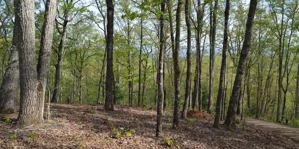 Lot 20 North Ridge Trail