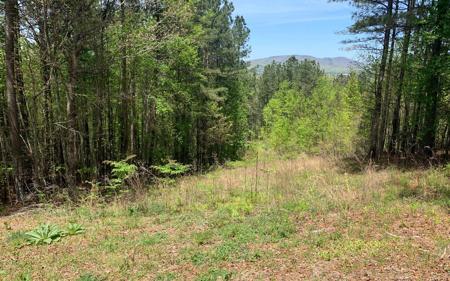 Lot 28 Loftis Mountain