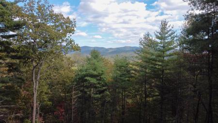 Lot 11 Self Mountain Road