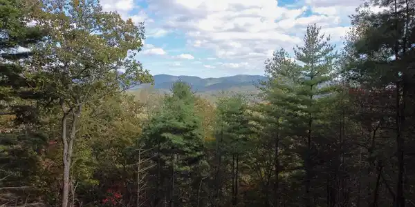 Lot 11 Self Mountain Road