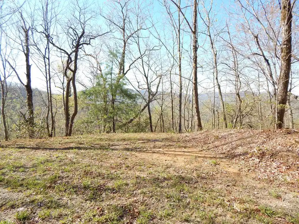 Image 1: Main View