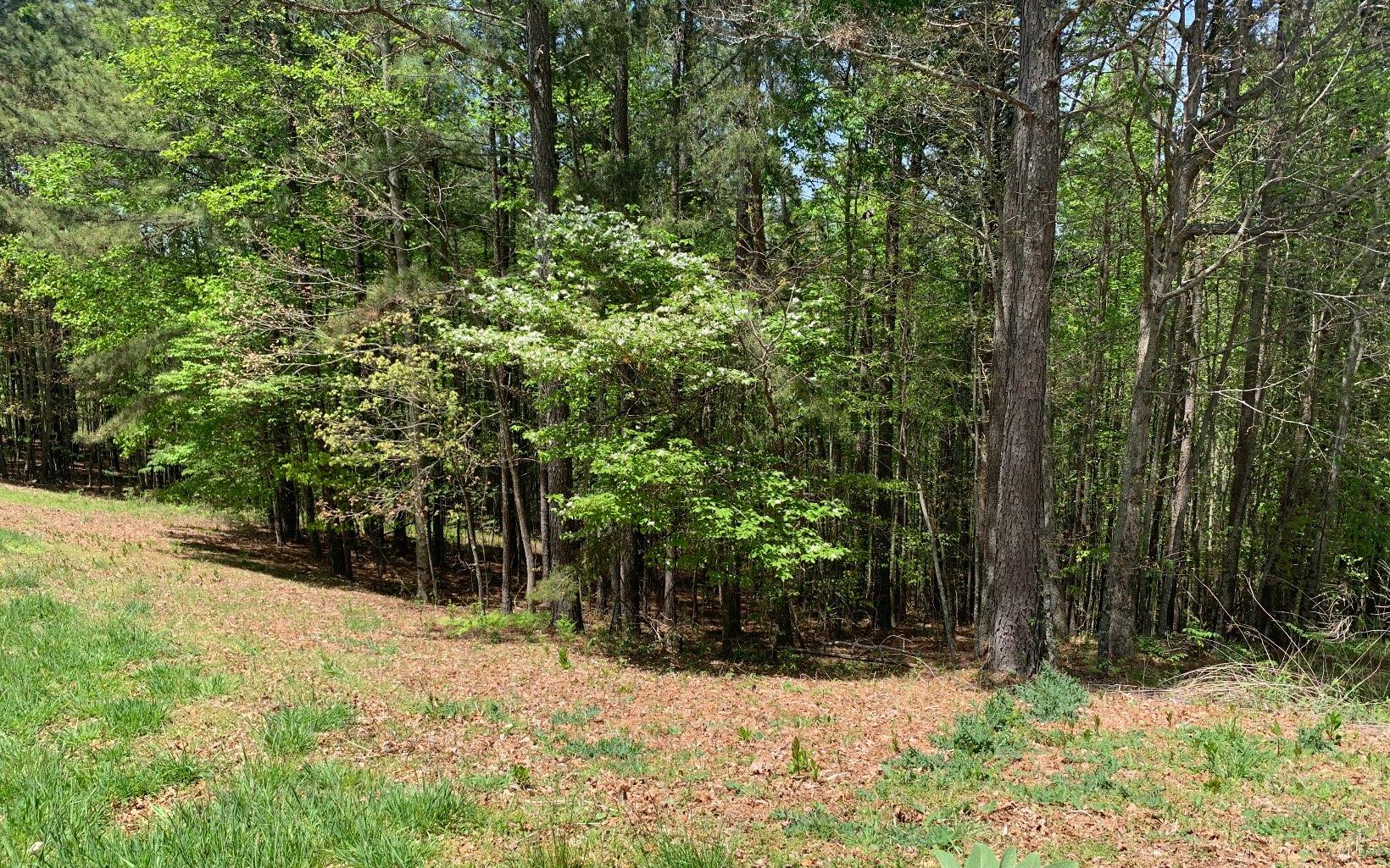 Image 3: Additional View