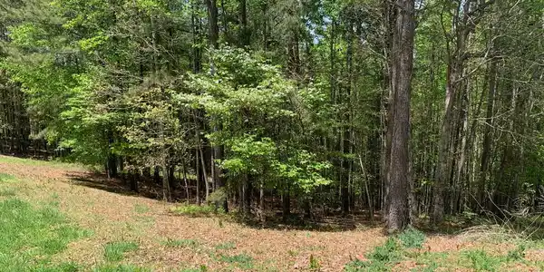 Image 3: Additional View