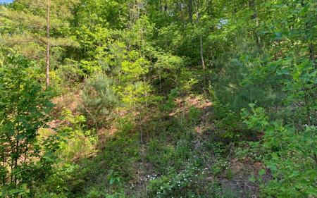 Lot 4A Trillium Heights