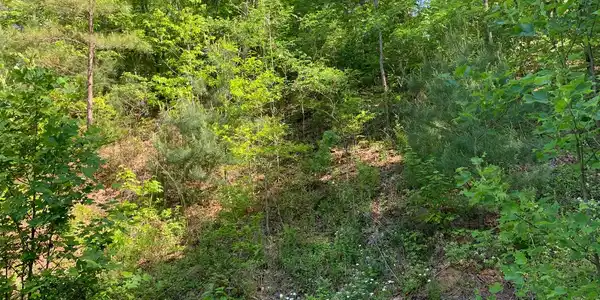 Lot 4A Trillium Heights