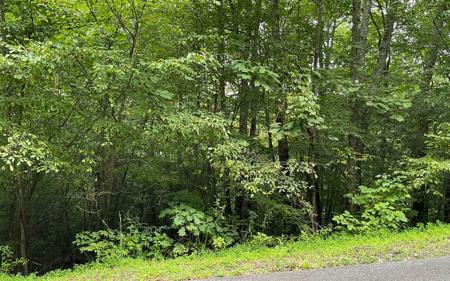 Lot 7 Bear Trail