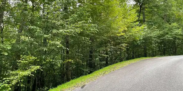 Image 2: Additional View