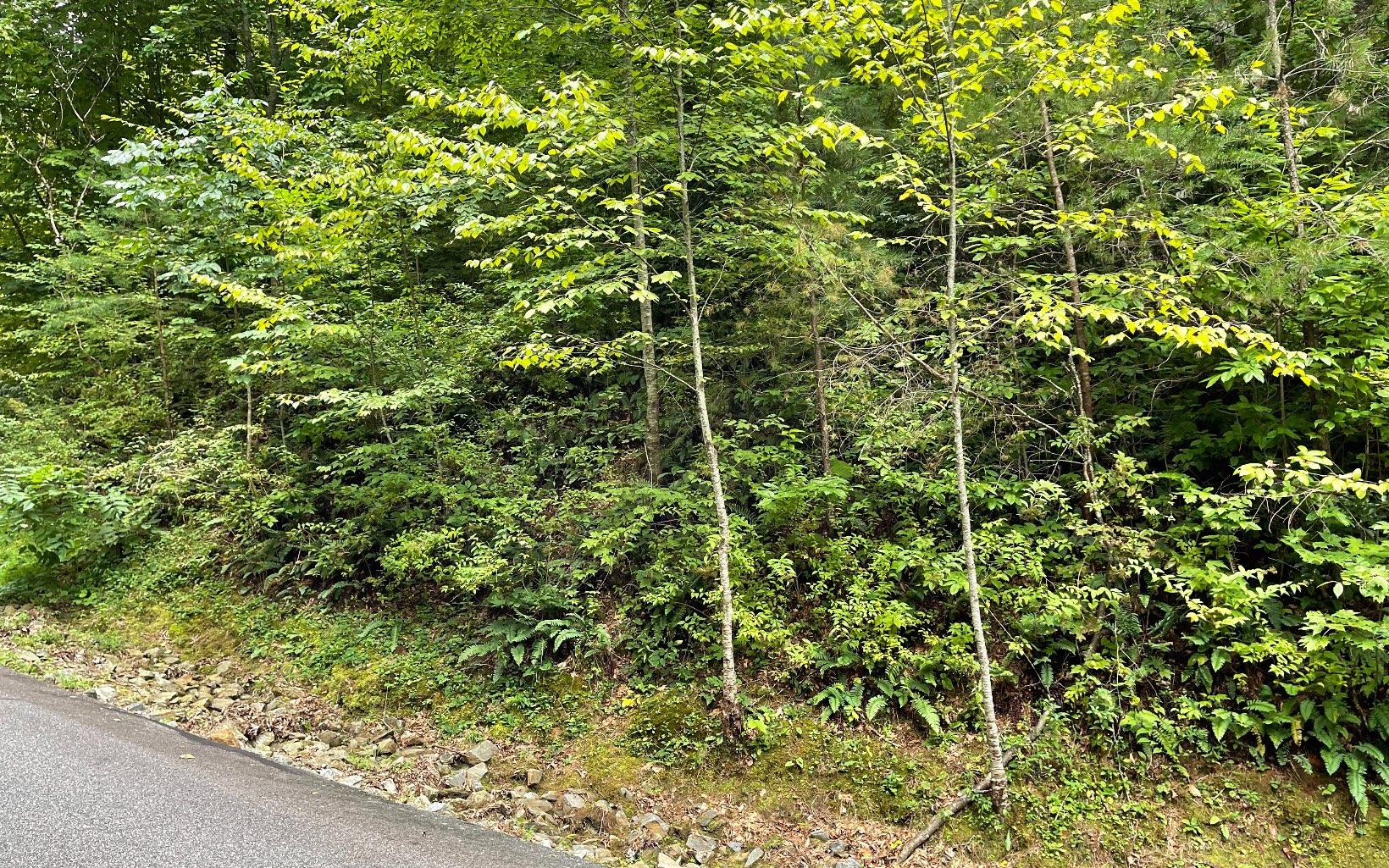 Image 4: Additional View