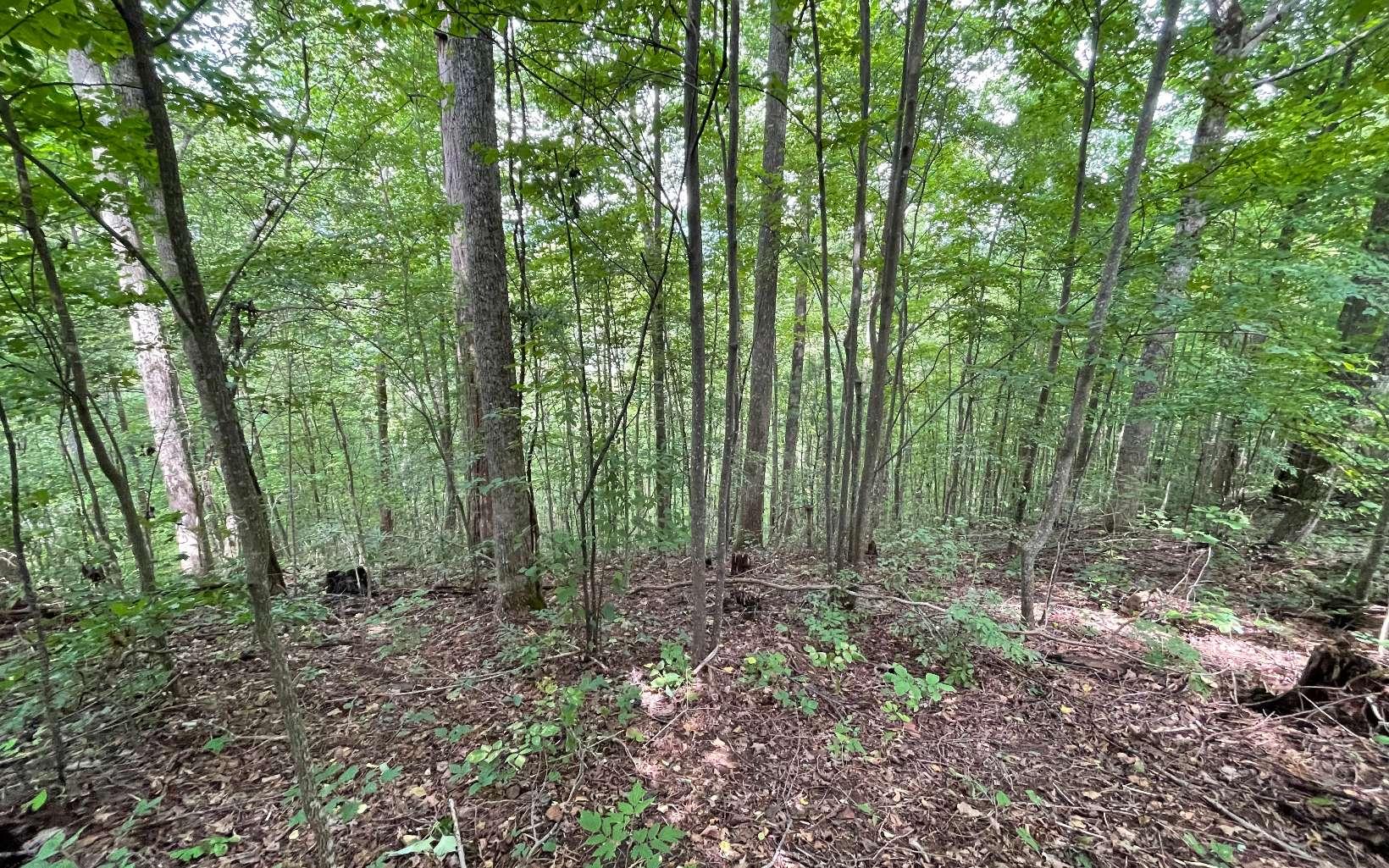Image 2: Additional View