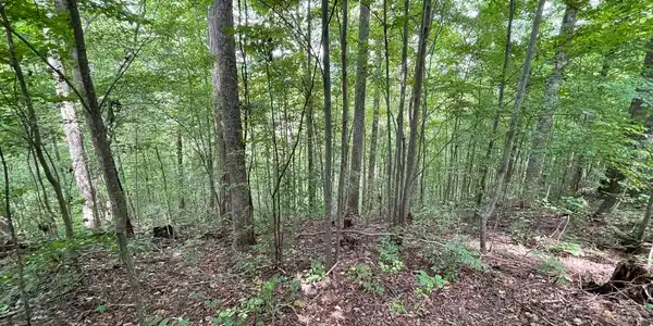 Image 2: Additional View
