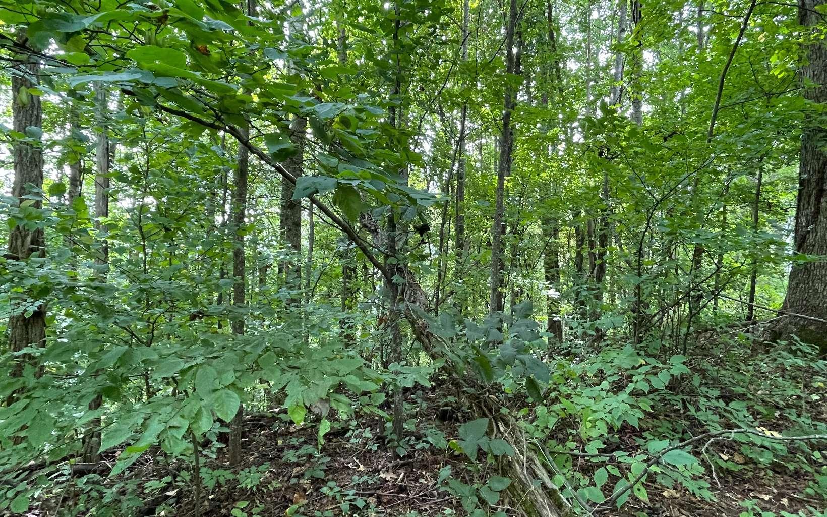 Image 3: Additional View
