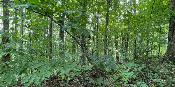 Image 3: Additional View
