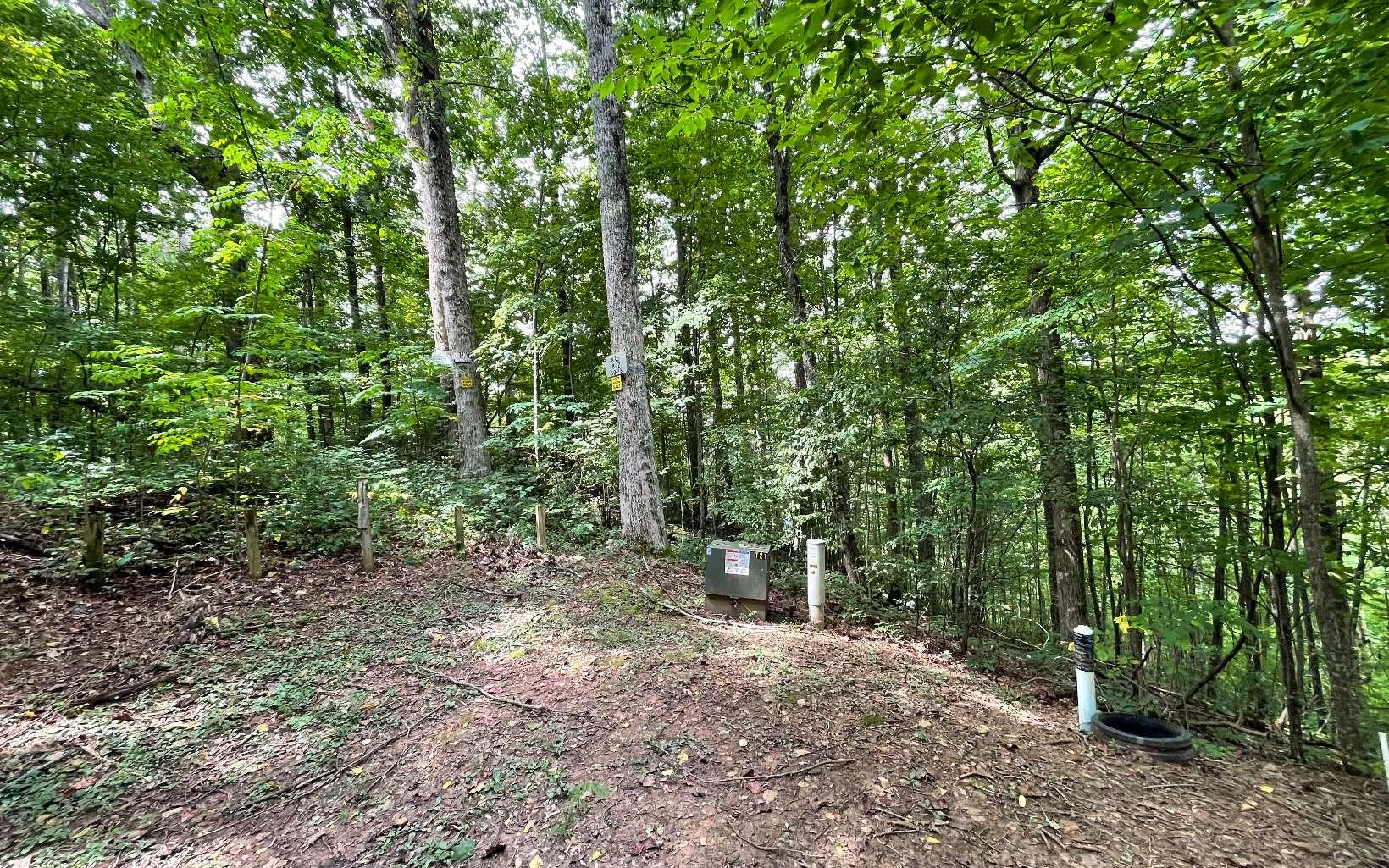 Image 4: Additional View