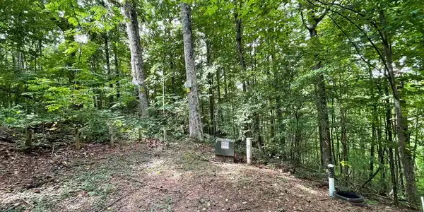 Image 4: Additional View