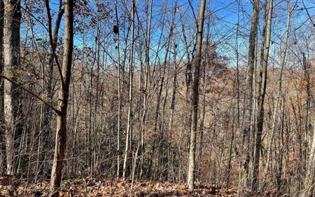 44J Ash Branch Drive