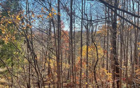 41C Ash Branch Circle