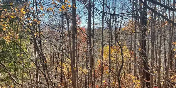 41C Ash Branch Circle