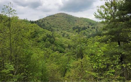 96 Mine Cart Trail