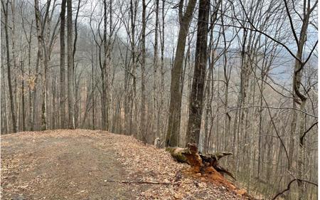 Lot 18 Shooting Creek Trail