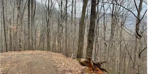 Lot 18 Shooting Creek Trail