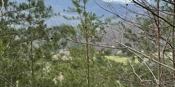 Lot 3 Harbour Heights Drive