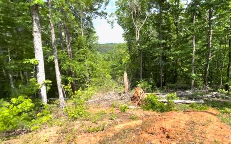 61 Jakes Landing Way