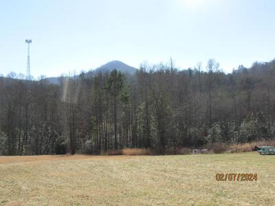 876 Twin Mountain Road Tract B