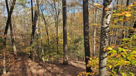Lot 266 Catawba Circle