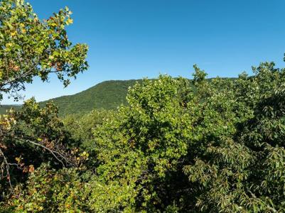 Lot 3 Wilderness Way