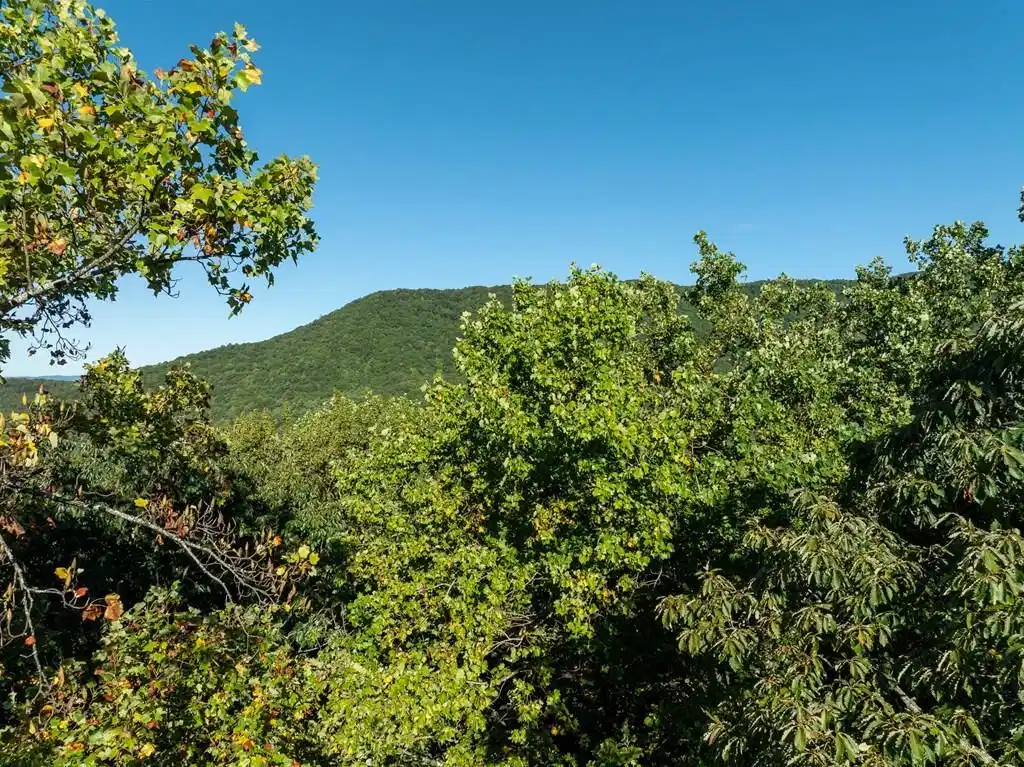 Image 1: Main View