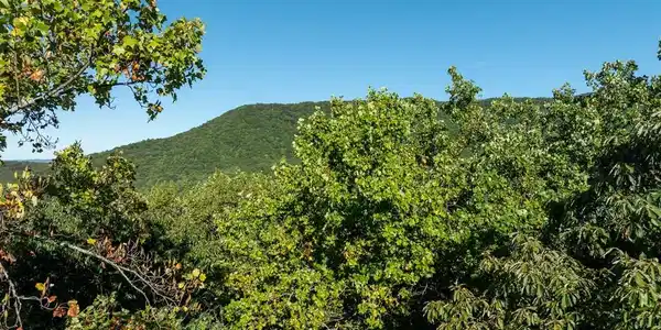 Lot 3 Wilderness Way