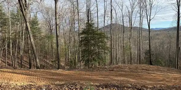 na Wildwood Trail