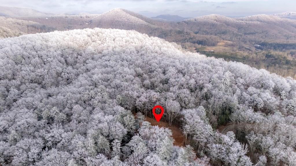 Image 3: Aerial View