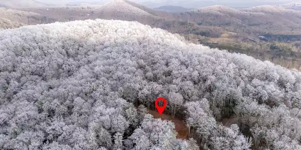 Image 3: Aerial View