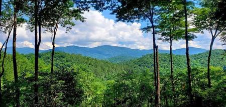 Lot 3 Gold Ridge Trail