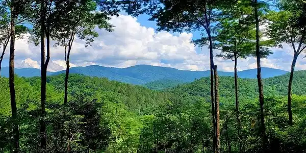Lot 3 Gold Ridge Trail