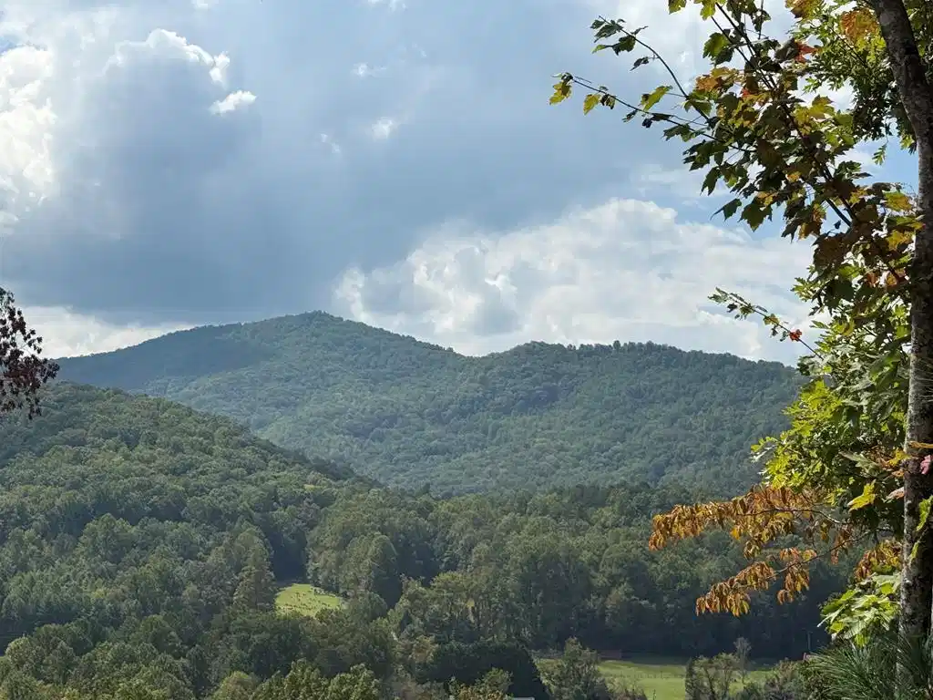 Image 1: Main View