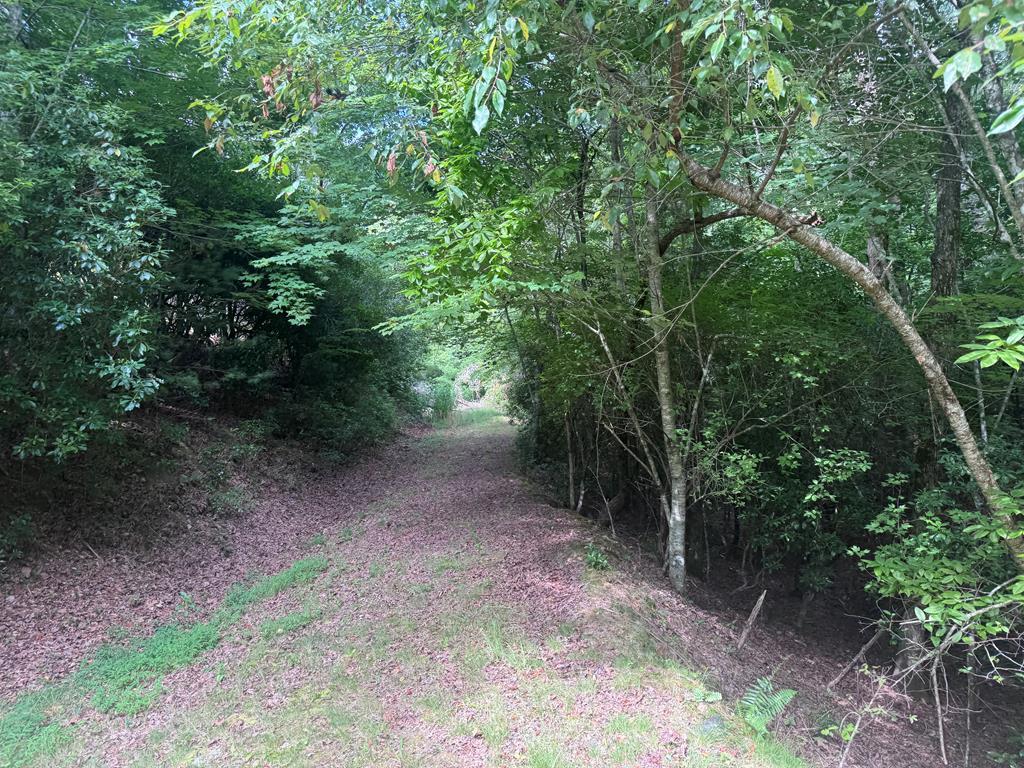 Image 1: Main View