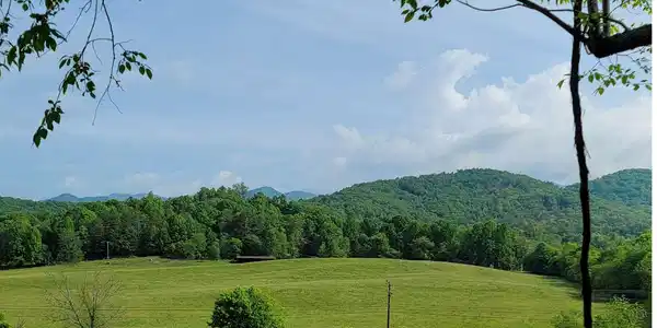 Image 4: Additional View
