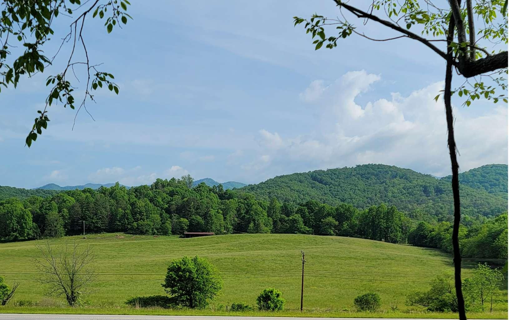 Image 4: Additional View