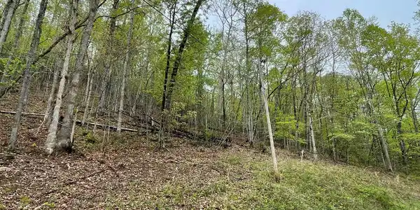 Lot 31 Nelson Ridge