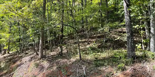 Image 2: Additional View