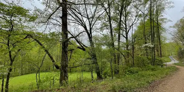 Image 4: Additional View