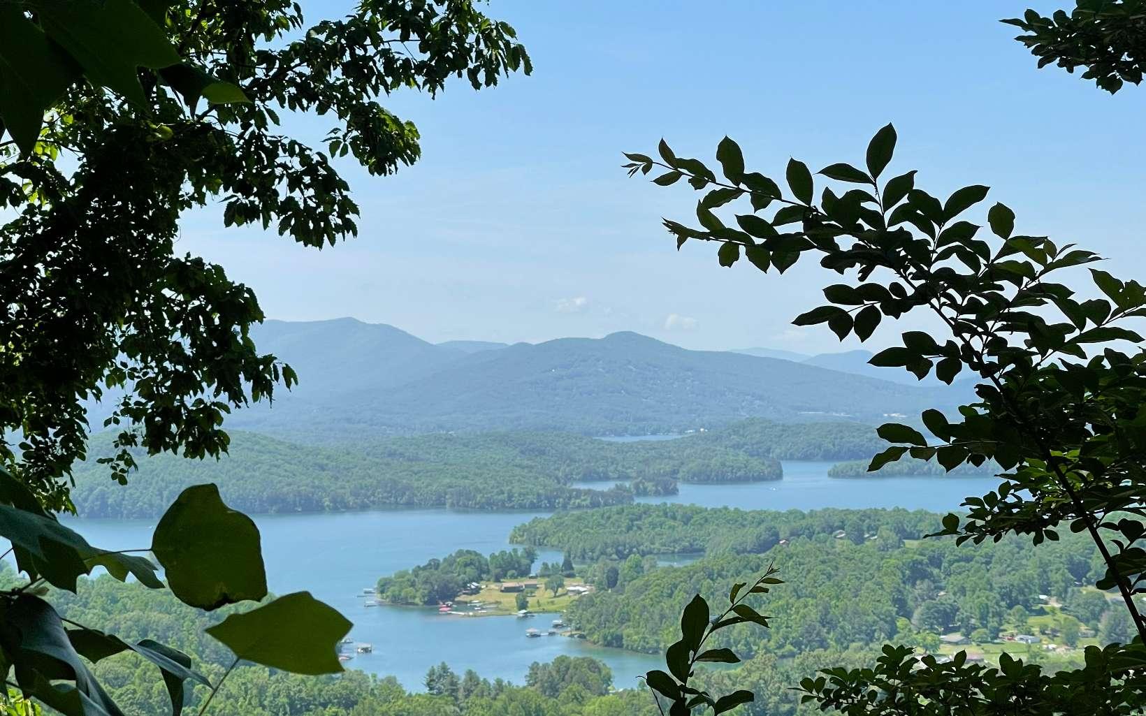 Image 1: Main View