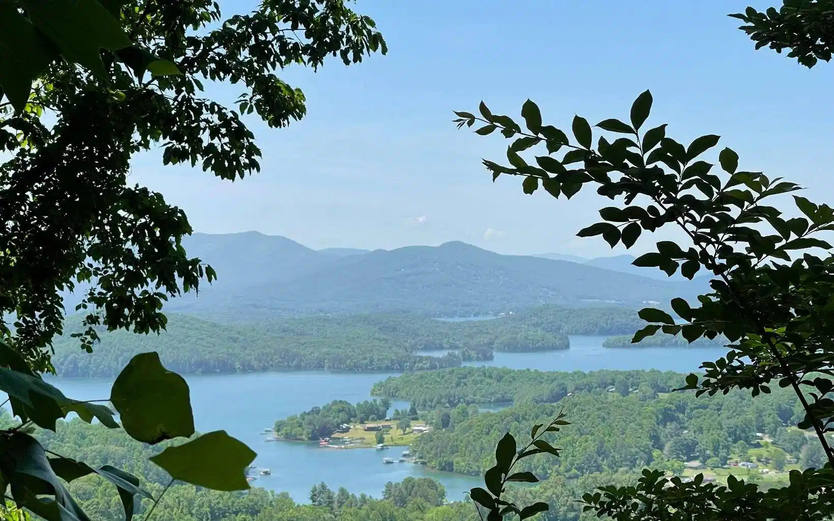 Image 1: Main View