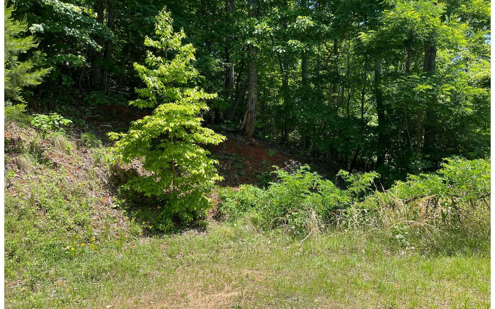 Image 2: Additional View