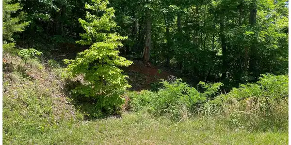 Image 2: Additional View