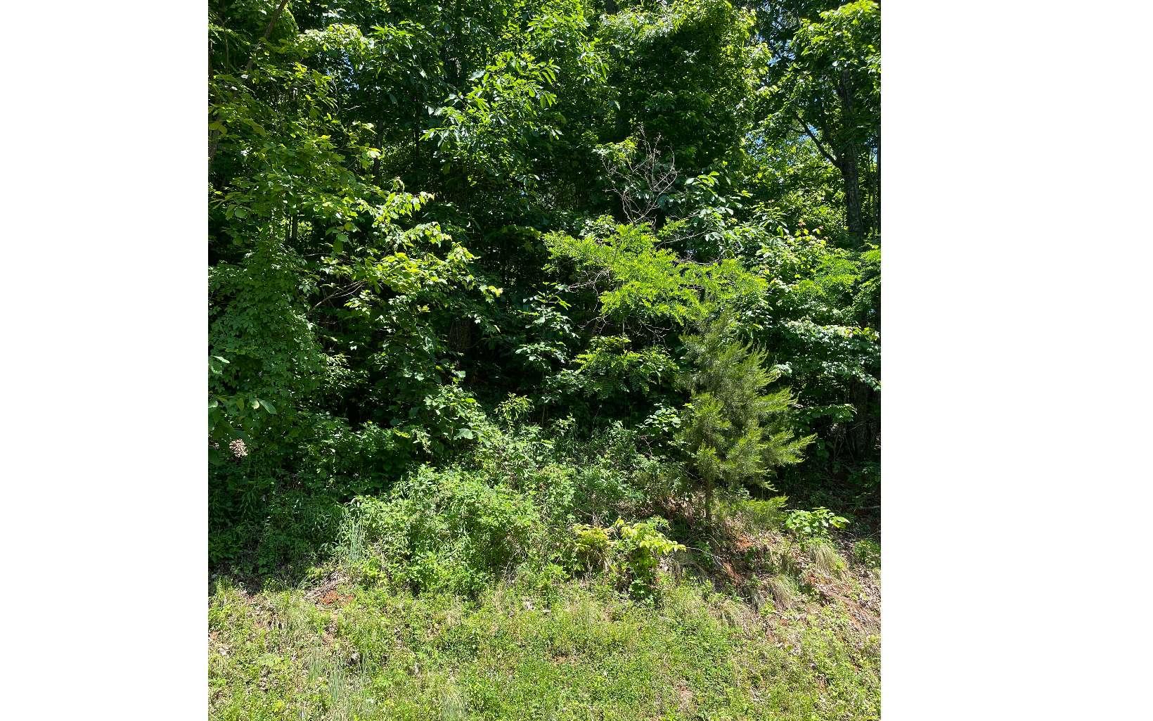 Image 3: Additional View