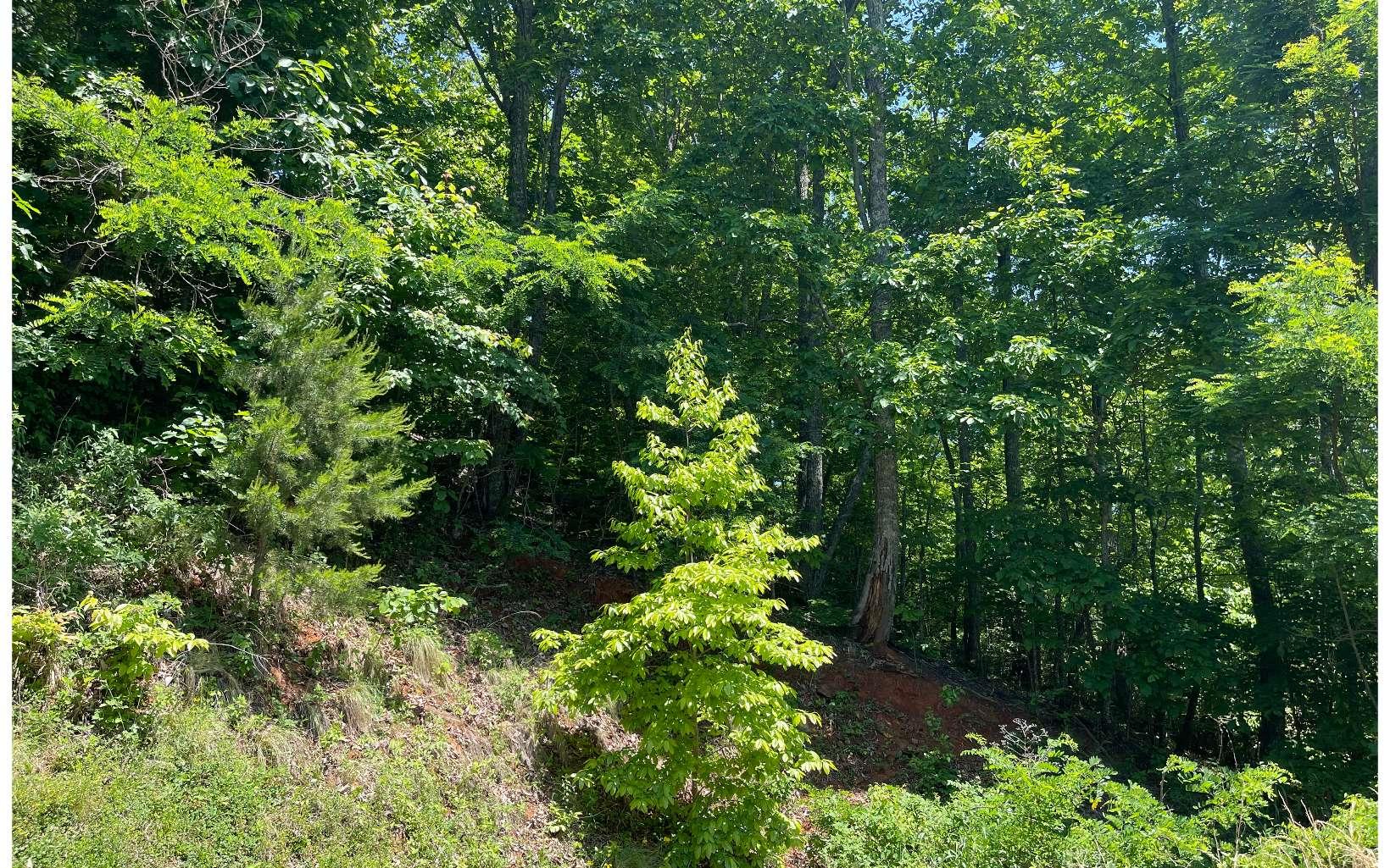 Image 4: Additional View