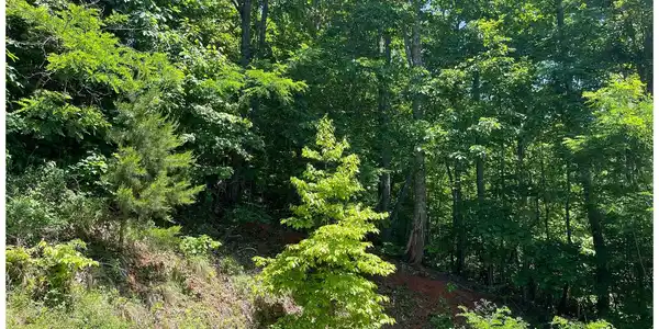 Image 4: Additional View